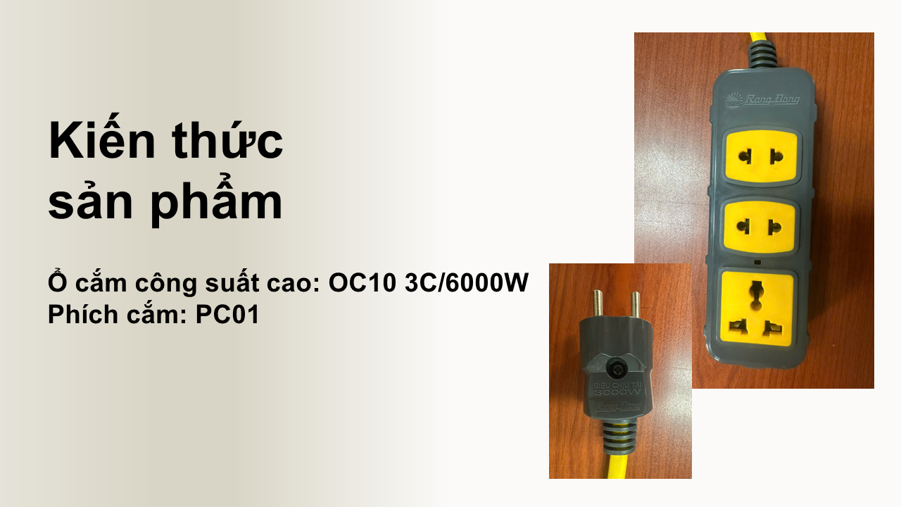 Đào tạo sản phẩm ổ cắm công suất cao OC10 3C/6000W